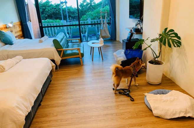 台中寵物友善住宿 台中寵物友善住宿