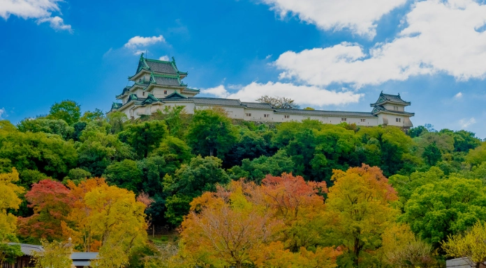 和歌山城參觀時間
