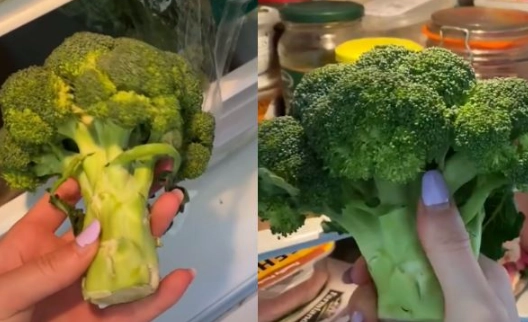 花椰菜保存方法