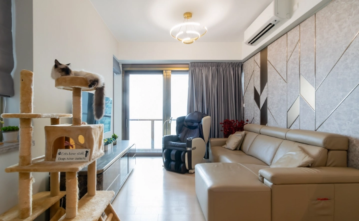 台中帶寵物住宿 台中帶寵物住宿