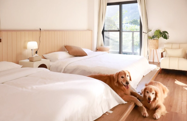 台中住宿推薦 台中住宿推薦