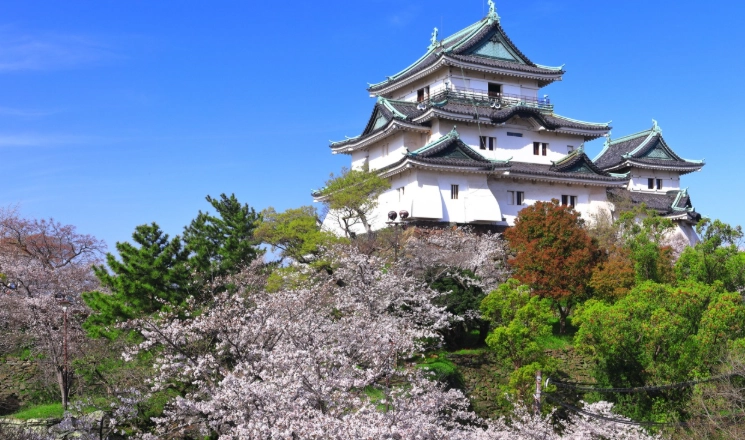 和歌山交通方式