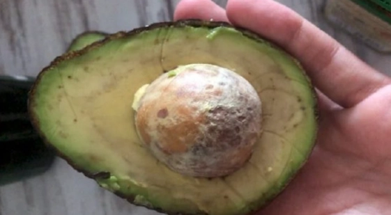 如何判斷酪梨壞掉