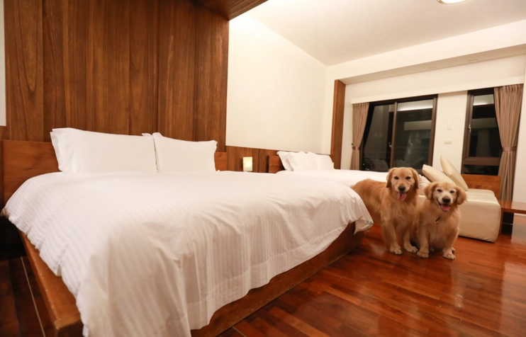 台中住宿推薦 台中住宿推薦