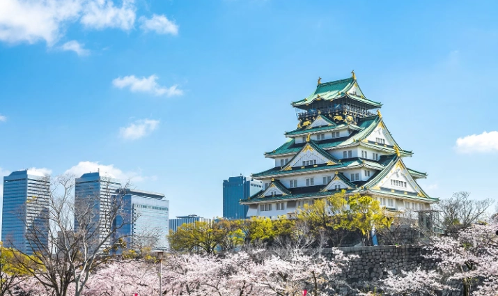 和歌山大阪交通