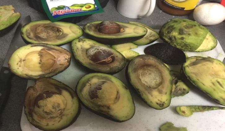 如何判斷酪梨壞掉