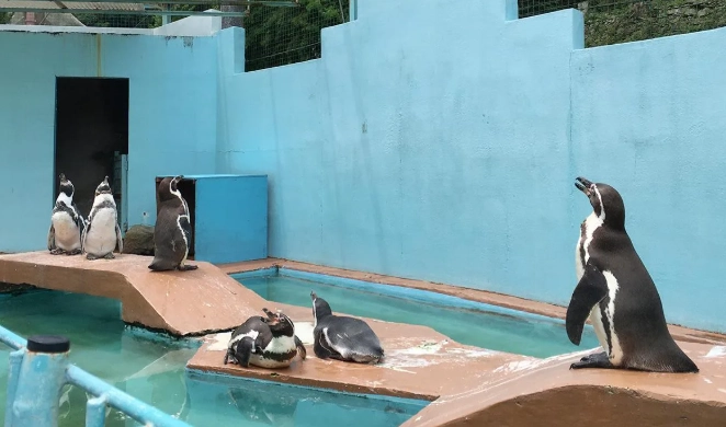 和歌山公園動物園交通