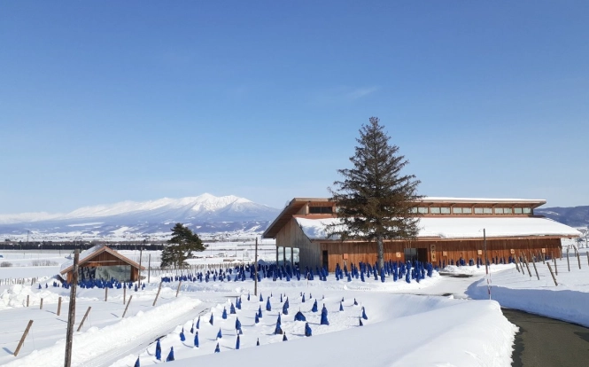 北海道冬天自駕遊 北海道冬天自駕遊