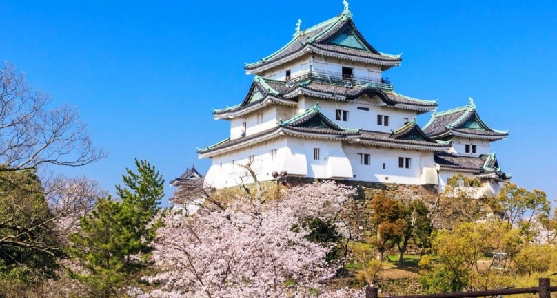 和歌山兒童景點