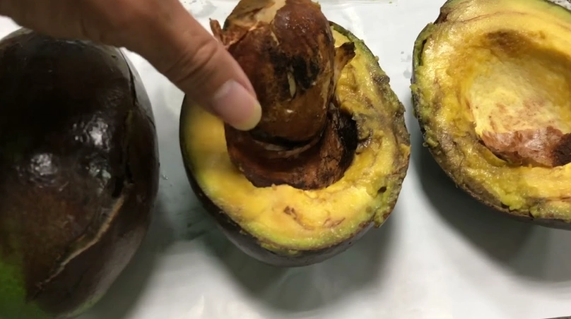 如何判斷酪梨壞掉