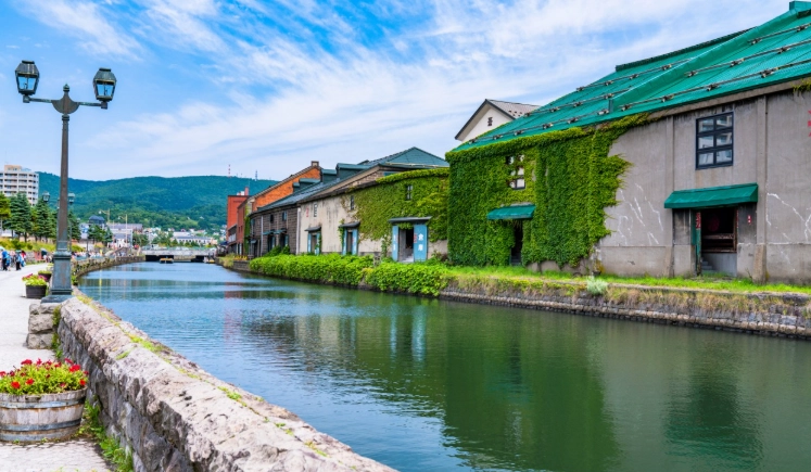 北海道冬季自駕 北海道冬季自駕