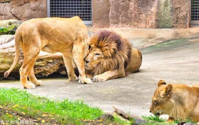 和歌山大阪交通