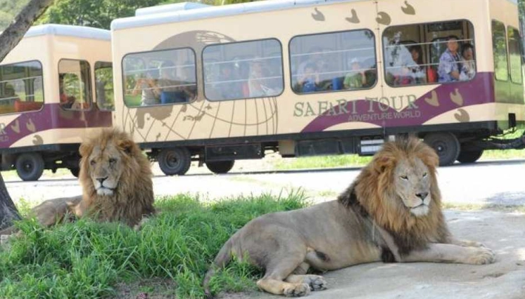 台灣主題樂園交通 台灣主題樂園交通