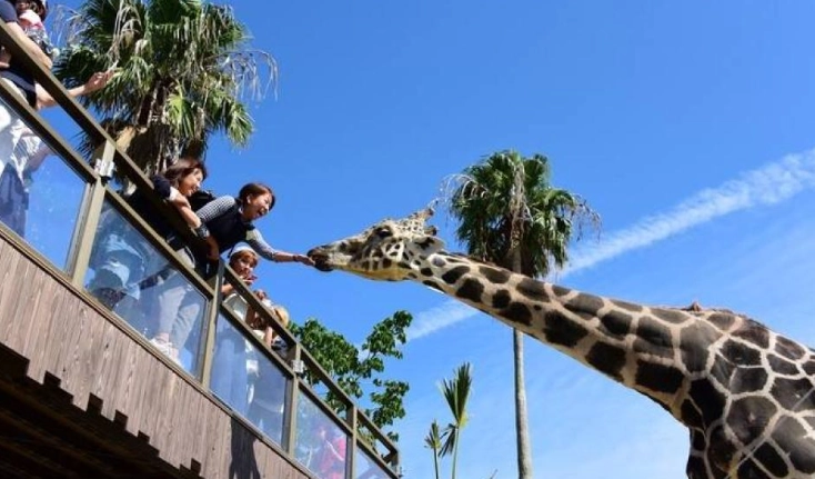 冒險世界交通指南 冒險世界交通指南