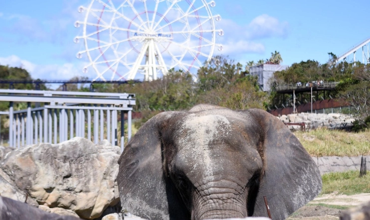冒險世界交通指南 冒險世界交通指南