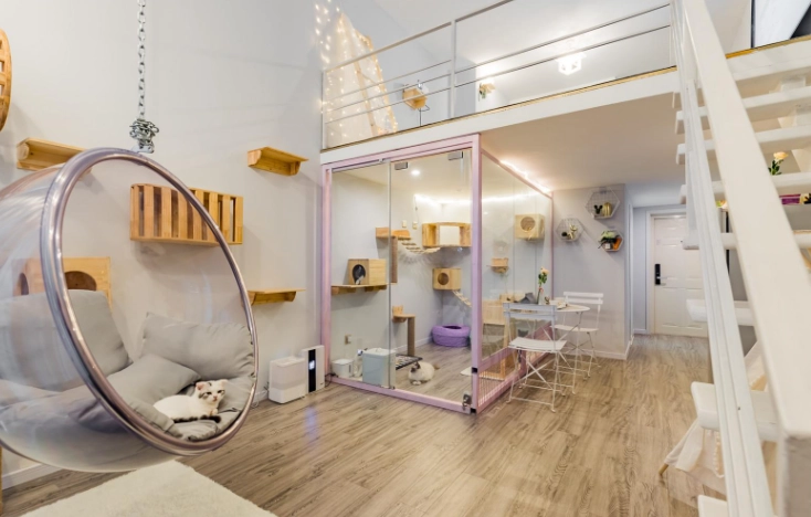 台中寵物友善飯店 台中寵物友善飯店