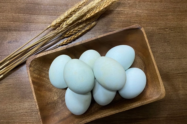 烏骨雞蛋營養價值