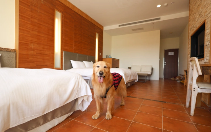 帶寵物旅遊飯店