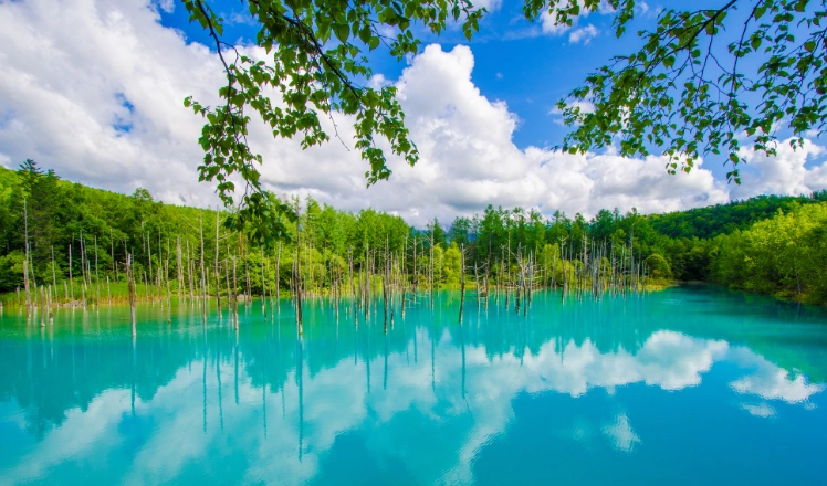 北海道交通规则