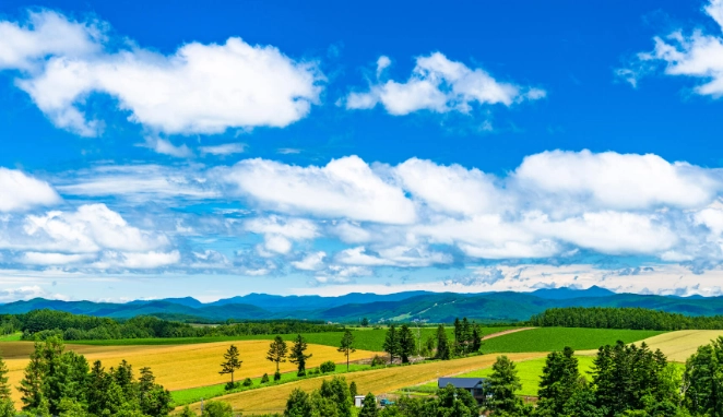 北海道交通规则