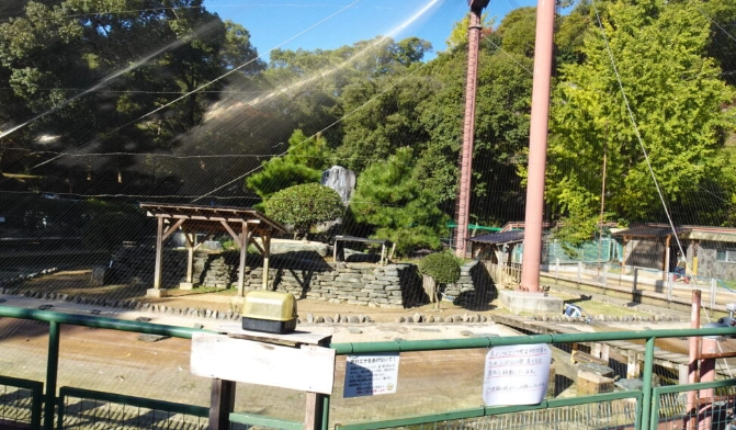 和歌山動物園攻略