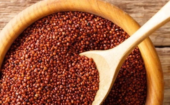 藜麥降低膽固醇