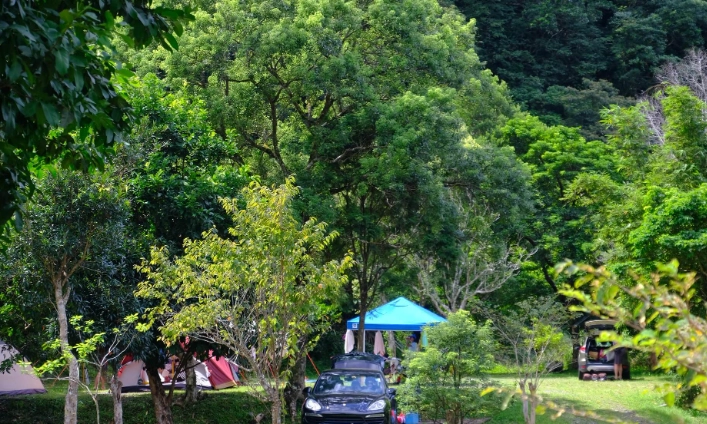 休閒農場親子遊