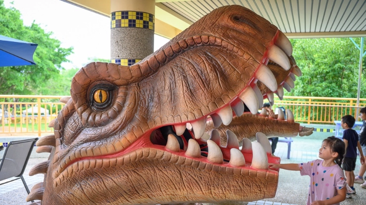 古生物樂園行程建議