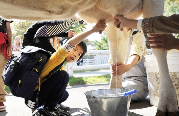 走馬瀨農場玩樂