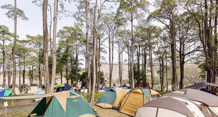 台南露營推薦