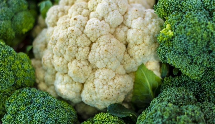 白花椰菜燙煮時間