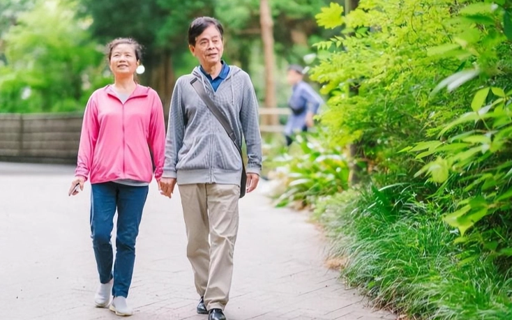 散步迷路技巧 散步迷路技巧