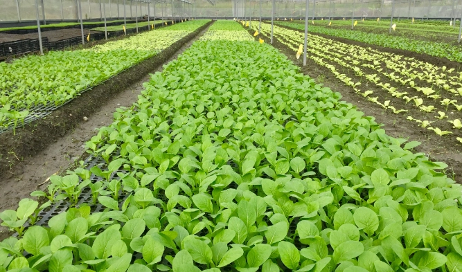 新竹農場一日遊