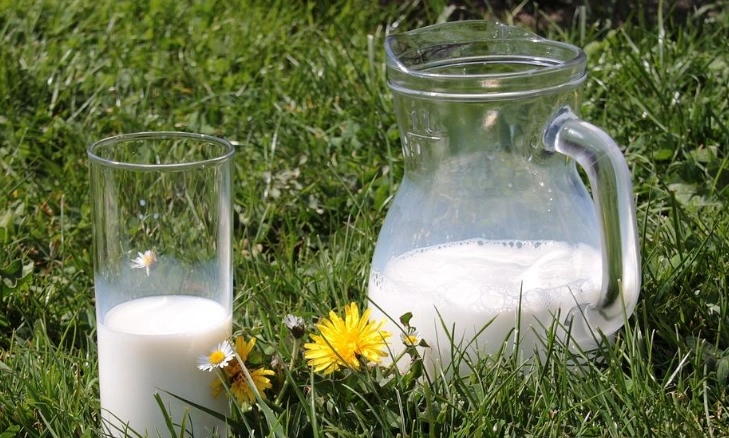 冷凍牛奶用途 冷凍牛奶用途