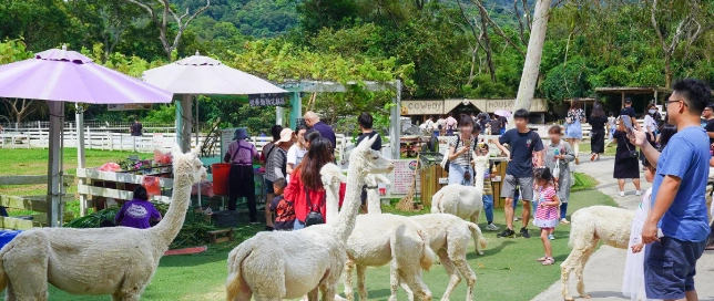 餵動物體驗 餵動物體驗