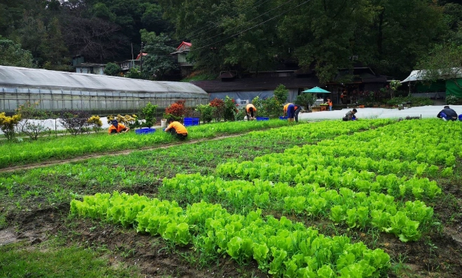 休閒農場親子遊