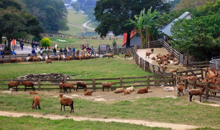 台灣中部休閒農場
