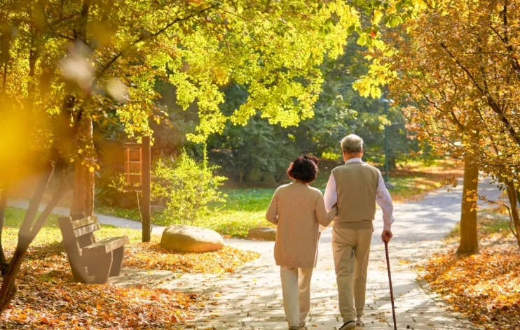 散步迷路技巧 散步迷路技巧