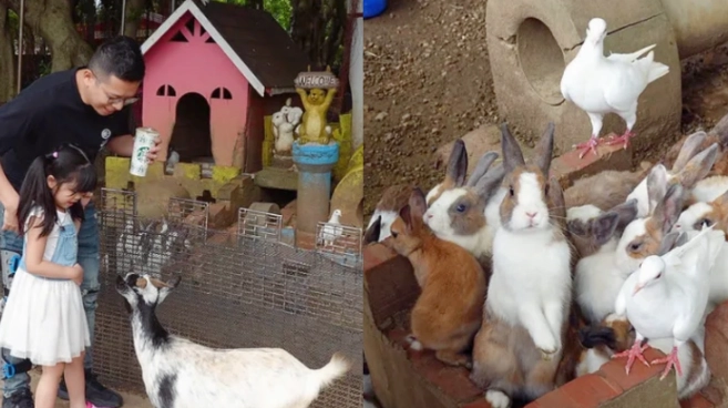 桃園親子農場 桃園親子農場