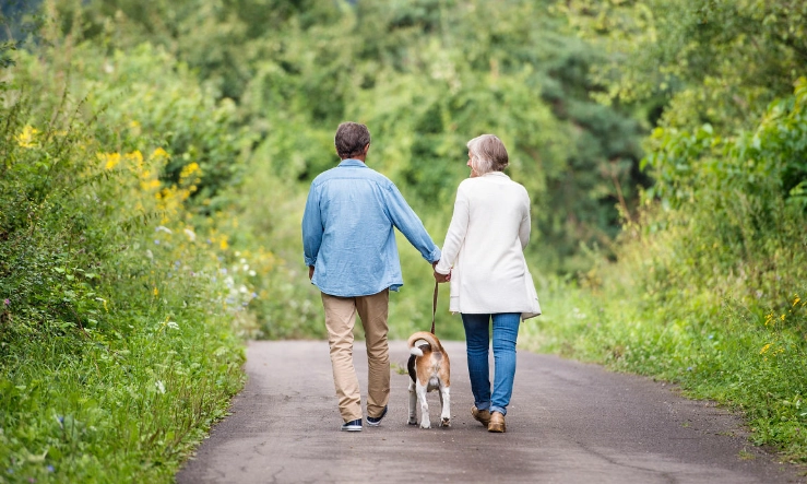 散散步迷迷路 體驗 散散步迷迷路 體驗