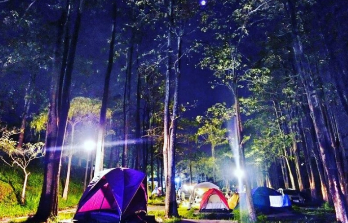 走馬瀨農場露營