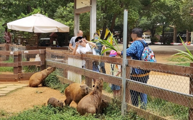 桃園一日遊行程