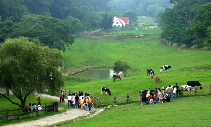中部農場體驗