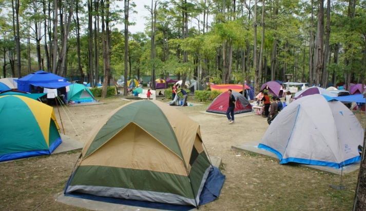 走馬瀨農場露營 走馬瀨農場露營