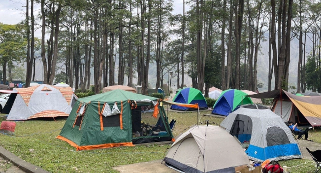 走馬瀨農場露營 走馬瀨農場露營