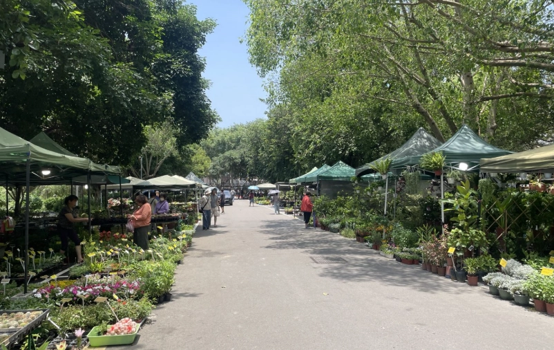 假日市集新竹全攻略：特色市集、美食推薦與週末遊玩指南