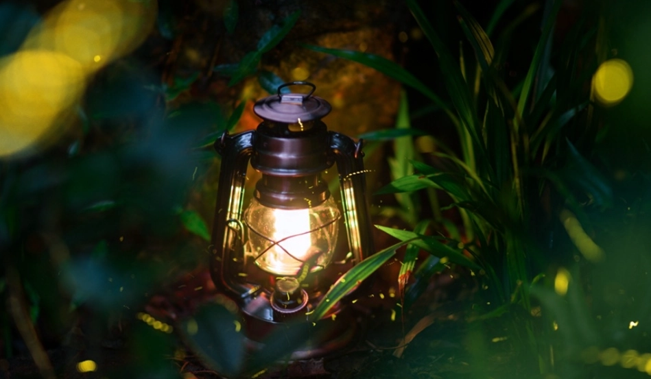 台灣古厝螢火蟲季節