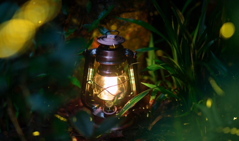 台灣螢火蟲季節