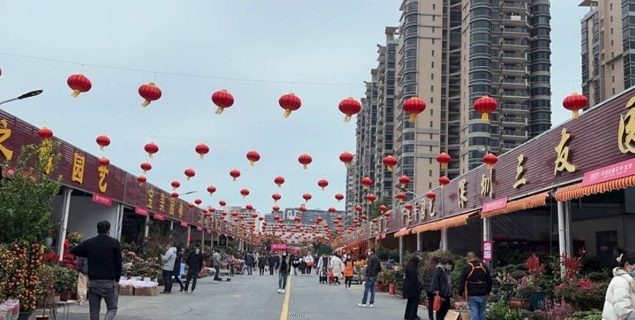 假日花市花卉價格