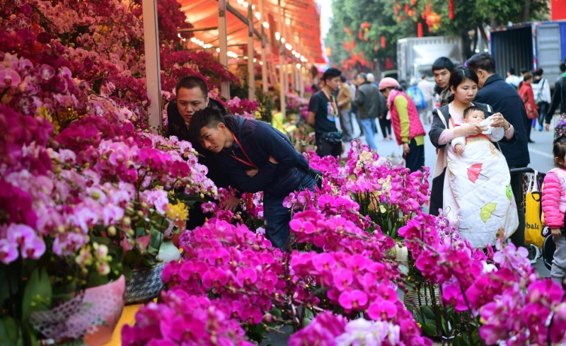 台灣花市營業時間